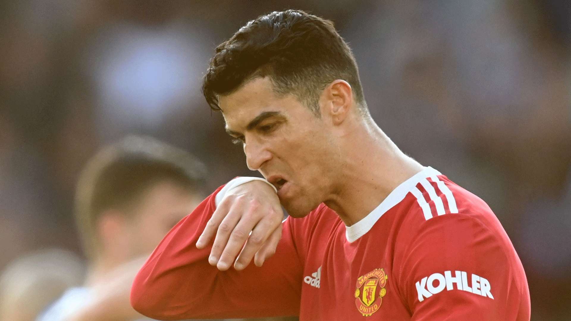 不仅意味着 不仅意味着